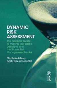 bokomslag Dynamic Risk Assessment