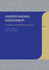 bokomslag Understanding Assessment