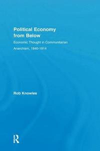 bokomslag Political Economy from Below