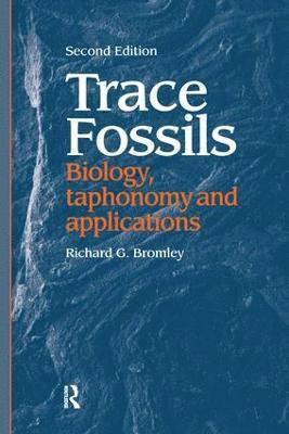 Trace Fossils 1