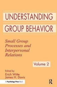 bokomslag Understanding Group Behavior