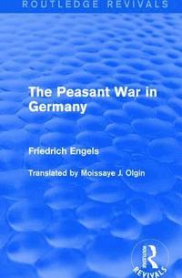 bokomslag The Peasant War in Germany