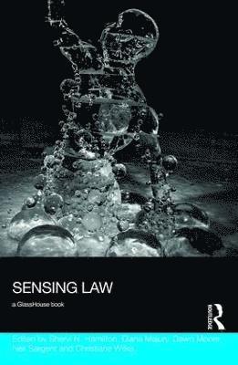 bokomslag Sensing Law