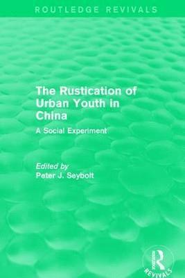 bokomslag The Rustication of Urban Youth in China