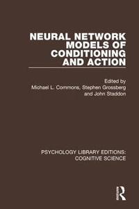 bokomslag Neural Network Models of Conditioning and Action