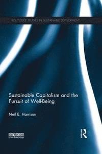 bokomslag Sustainable Capitalism and the Pursuit of Well-Being