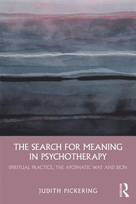 bokomslag Search for Meaning in Psychotherapy