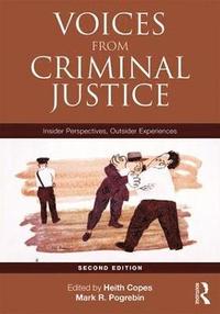 bokomslag Voices from Criminal Justice