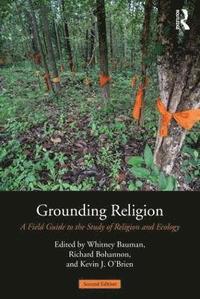 bokomslag Grounding Religion