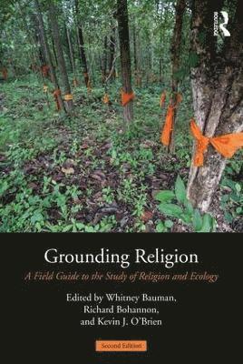 bokomslag Grounding Religion