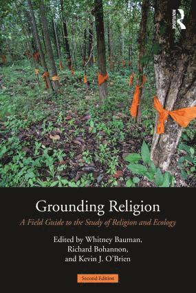 Whitney A. Bauman, Richard Bohannon, Kevin J. O'Brien - Grounding Religion, Häftad