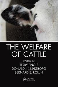 bokomslag The Welfare of Cattle