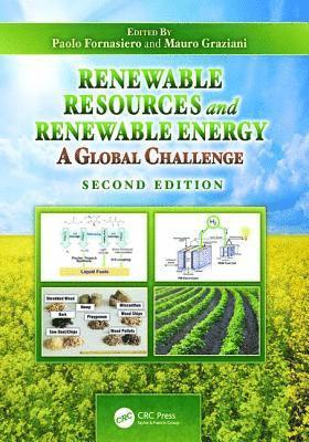 bokomslag Renewable Resources and Renewable Energy