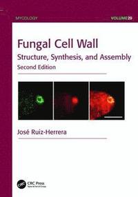bokomslag Fungal Cell Wall