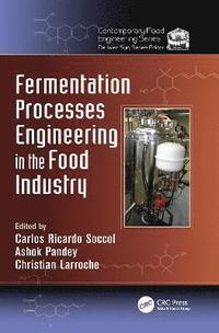 bokomslag Fermentation Processes Engineering in the Food Industry