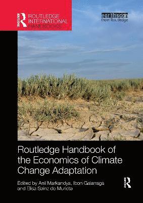 bokomslag Routledge Handbook of the Economics of Climate Change Adaptation