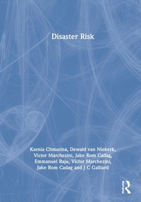 bokomslag Disaster Risk