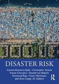 bokomslag Disaster Risk