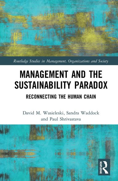 bokomslag Management and the Sustainability Paradox