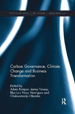 bokomslag Carbon Governance, Climate Change and Business Transformation