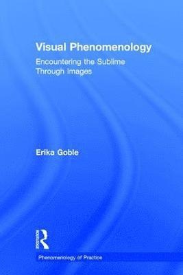 Erika Goble - Visual Phenomenology, Inbunden
