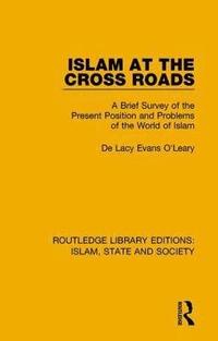 bokomslag Islam at the Cross Roads