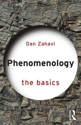 Phenomenology: The Basics 1