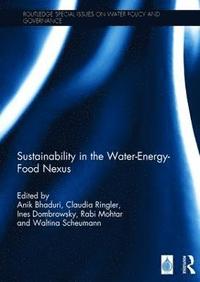 bokomslag Sustainability in the Water-Energy-Food Nexus