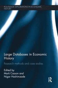 bokomslag Large Databases in Economic History