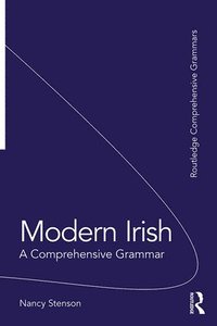 bokomslag Modern Irish