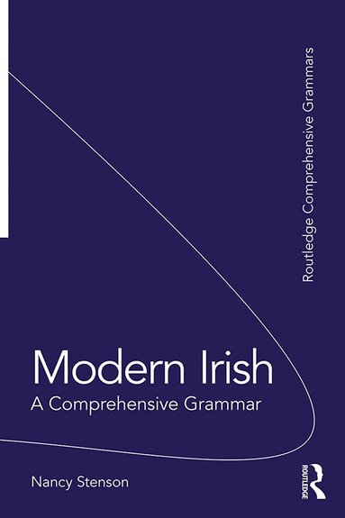 bokomslag Modern Irish