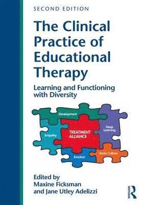 Clinical Practice of Educational Therapy 1