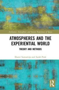 bokomslag Atmospheres and the Experiential World