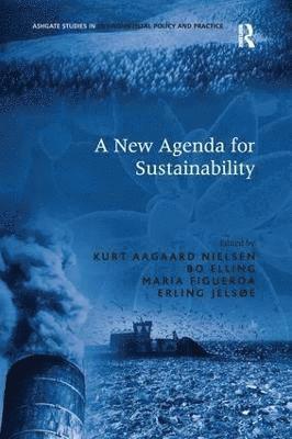 A New Agenda for Sustainability 1