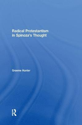 bokomslag Radical Protestantism in Spinoza's Thought