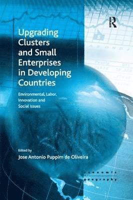 Upgrading Clusters and Small Enterprises in Developing Countries 1