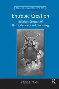bokomslag Entropic Creation
