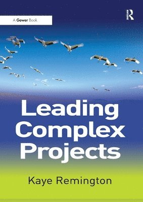 bokomslag Leading Complex Projects