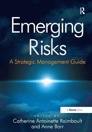 bokomslag Emerging Risks