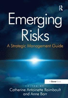 Anne Barr, Catherine Antoinette Raimbault - Emerging Risks, Häftad