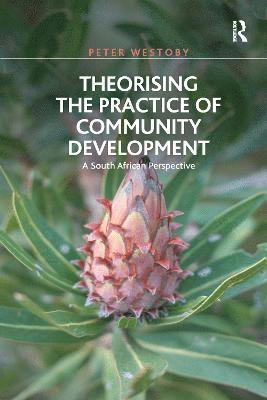 bokomslag Theorising the Practice of Community Development