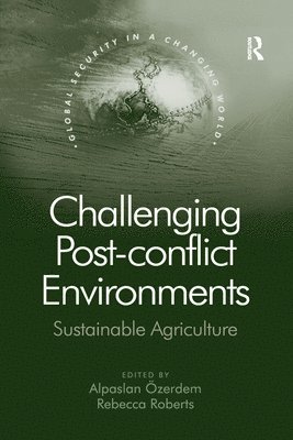 bokomslag Challenging Post-conflict Environments