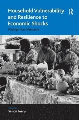 Household Vulnerability and Resilience to Economic Shocks 1