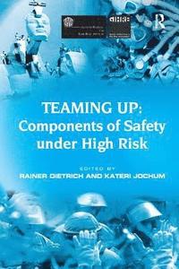 bokomslag Teaming Up: Components of Safety Under High Risk