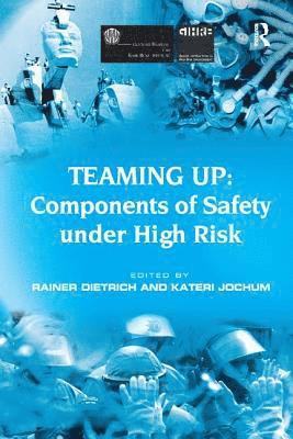 Teaming Up: Components of Safety Under High Risk 1