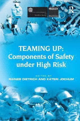 Teaming Up: Components of Safety Under High Risk