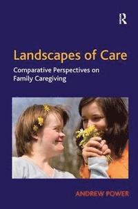 bokomslag Landscapes of Care
