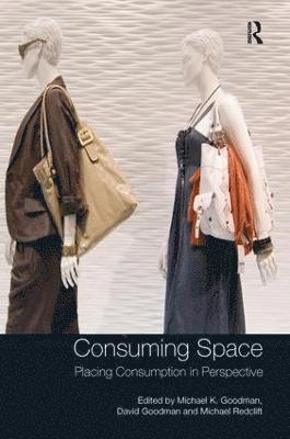 Michael K. Goodman, David Goodman - Consuming Space, Häftad