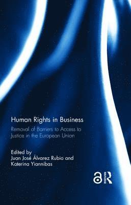 bokomslag Human Rights in Business