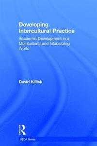 bokomslag Developing Intercultural Practice